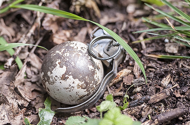 ����: GLOBAL LOOK press